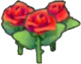 Beautiful flower