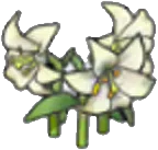 Elegant flower