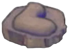 Jaw Fossil