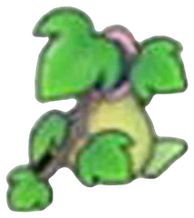 Pitcher-plant pot