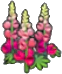 Robust flower