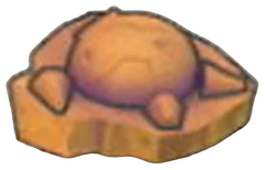 Skull Fossil