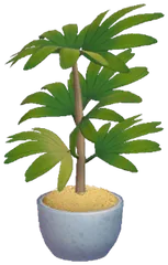 Tall potted plant
