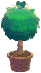 Twisted potted plant