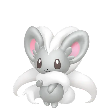 Cinccino
