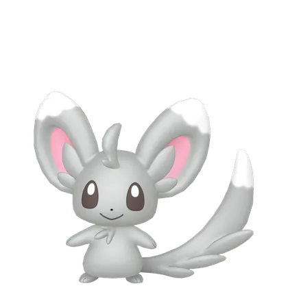 Minccino