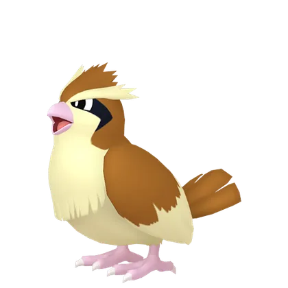 Pidgey